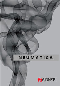 NEUMATICA
